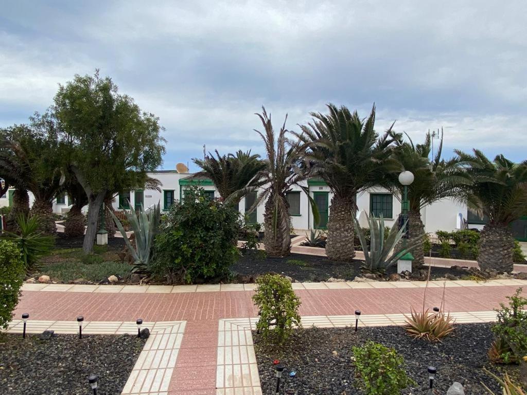 Casa Sandra Cocosol Costa De Antigua Dış mekan fotoğraf